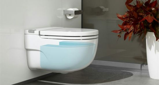 In Tank il wc della Roca con la cassetta di scarico incorporata